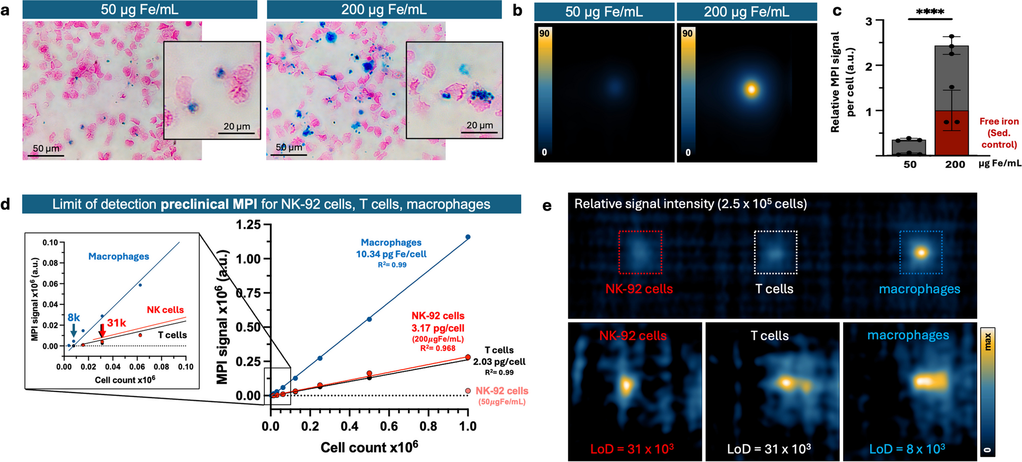 Preclinical and Clinical-Scale Magnetic Particle Imaging of Natural Killer Cells: in vitro and ex vivo Demonstration of Cellular Sensitivity, Resolution, and Quantification