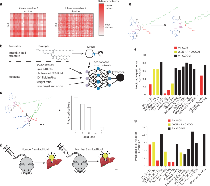 Artificial intelligence-guided design of lipid nanoparticles for pulmonary gene therapy