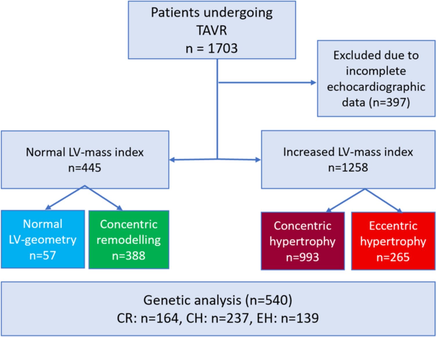 Eccentric hypertrophy impairs outcome after TAVR