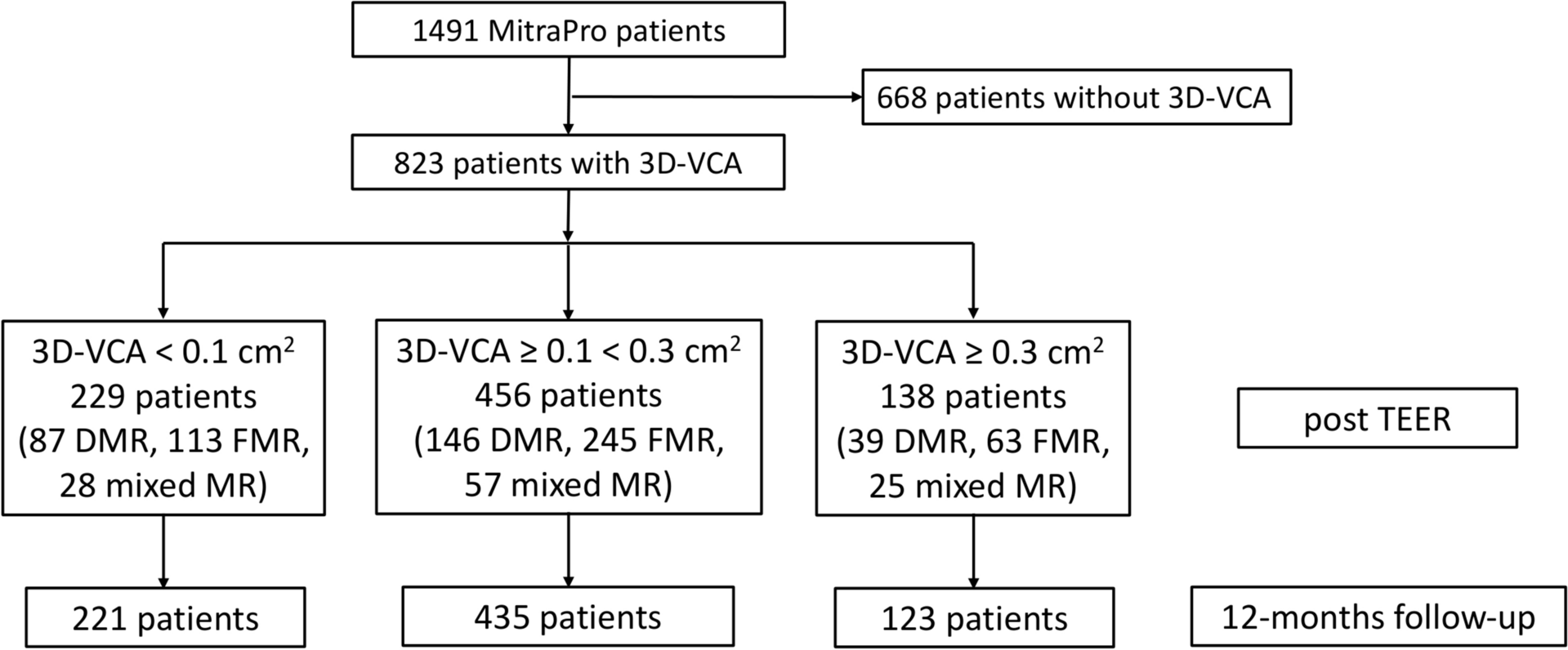 Intraprocedural 3D-vena contracta area predicts survival after transcatheter edge-to-edge repair: results from MITRA-PRO registry