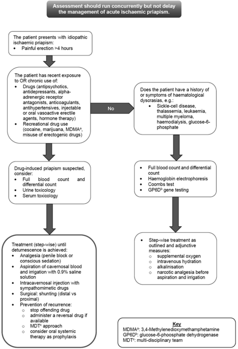 The assessment and aetiology of drug-induced ischaemic priapism