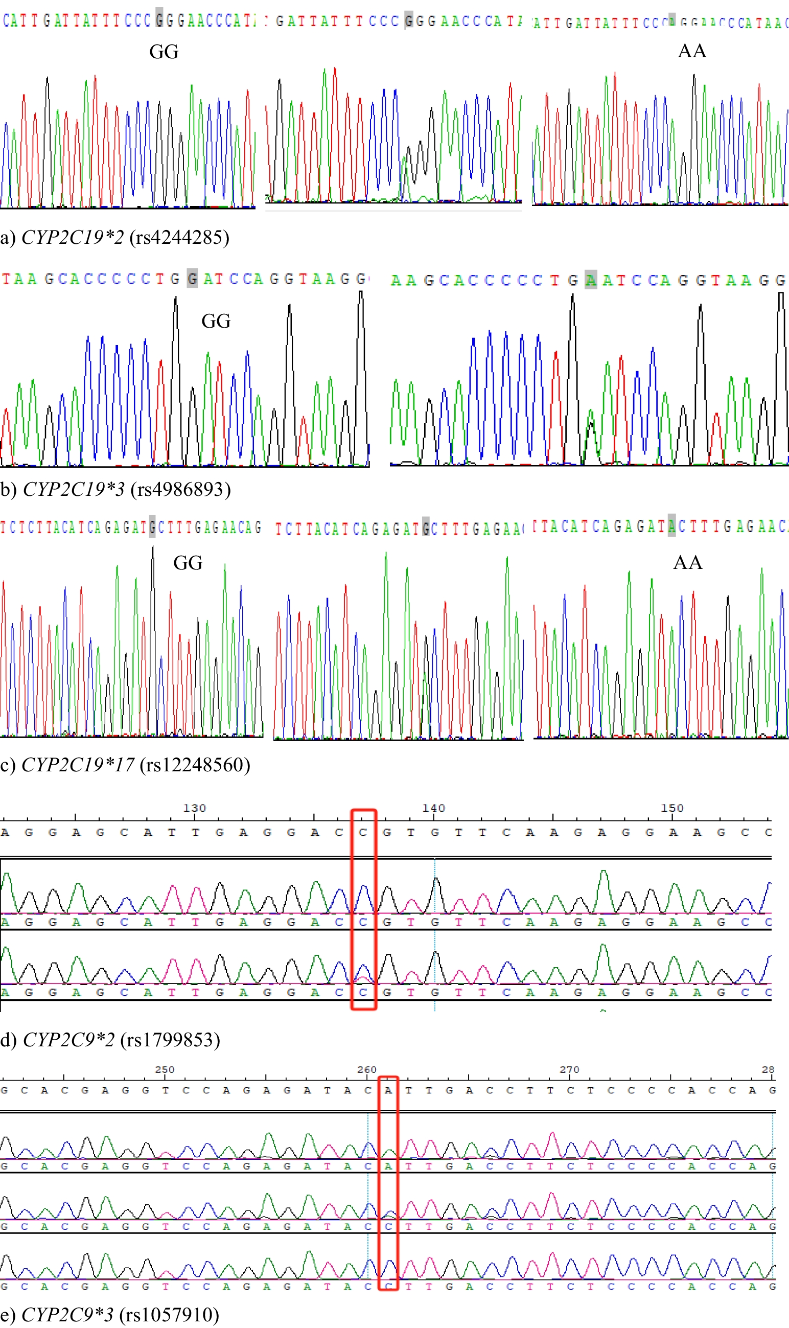 Effects of CYP2C19 and CYP2C9 polymorphisms on the efficacy and plasma concentration of lacosamide in pediatric patients with epilepsy in China