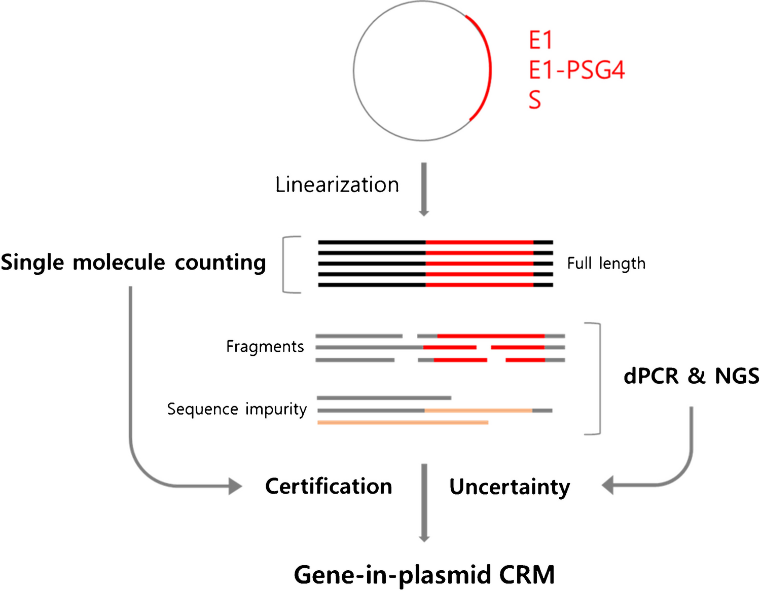 Development of gene-in-plasmid DNA reference materials certified by single-molecule counting