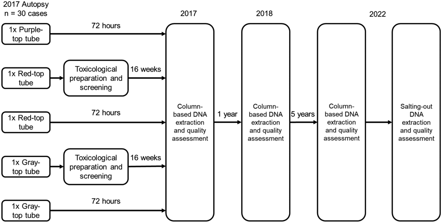 Longitudinal assessment of DNA recovery from post-mortem whole blood stored in EDTA, sodium fluoride/potassium oxalate and additive-free tubes