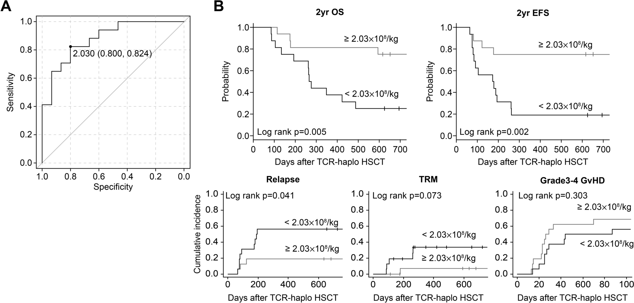 Graft CD8+ T cells for improving event-free survival after T cell-replete haploidentical stem cell transplantation in children with hematological malignancies