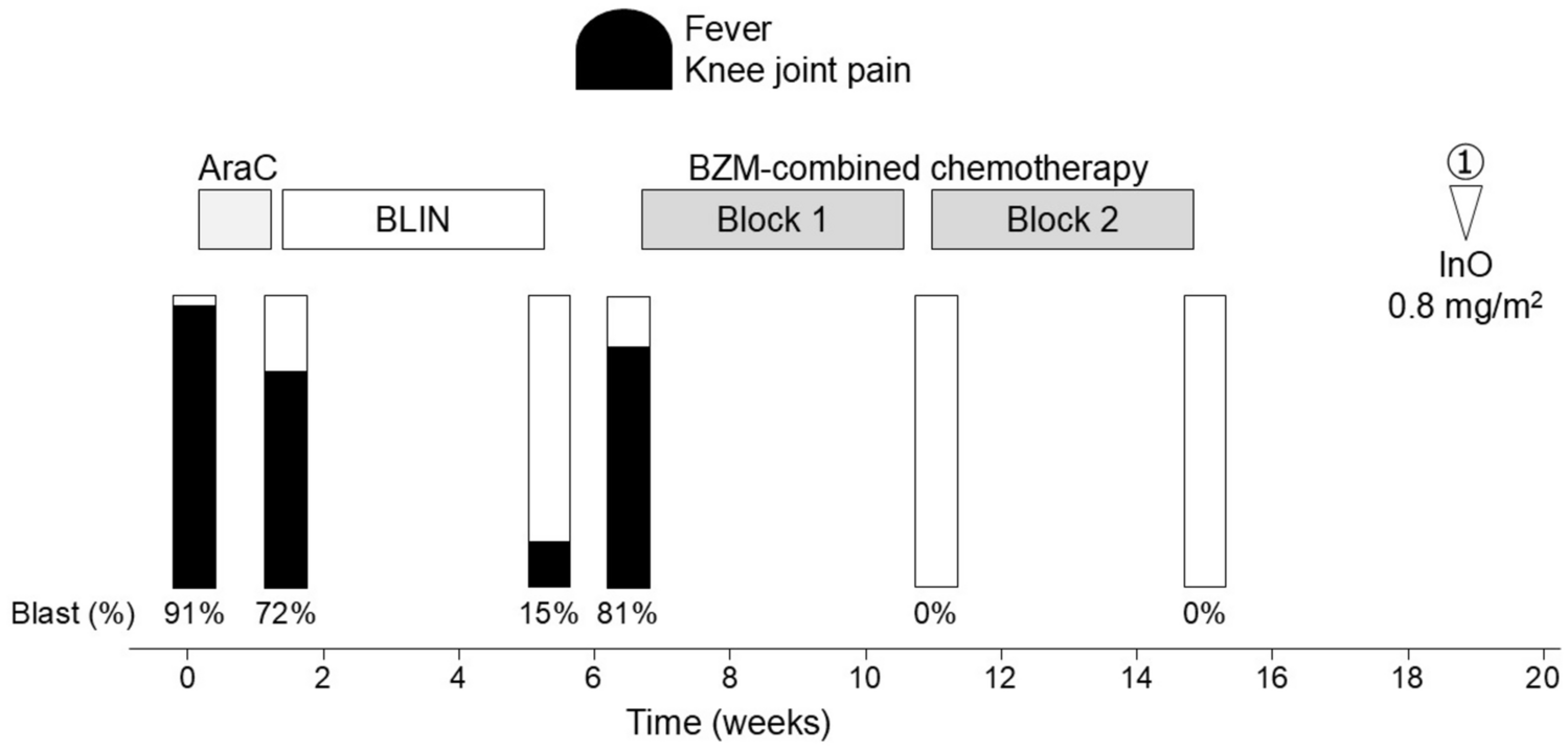 Inotuzumab ozogamicin for relapse prevention in a boy with Down syndrome and relapsed acute lymphoblastic leukemia