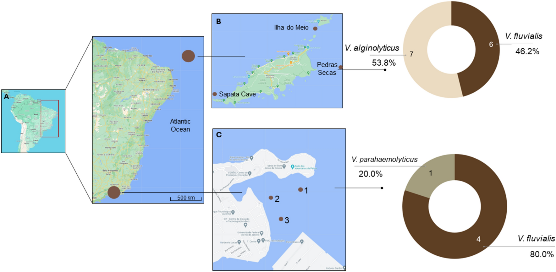 Functional and Genomic Insights into the Biotechnological Potential of Vibrio spp. Isolated from Deeply Polluted and Pristine Environments