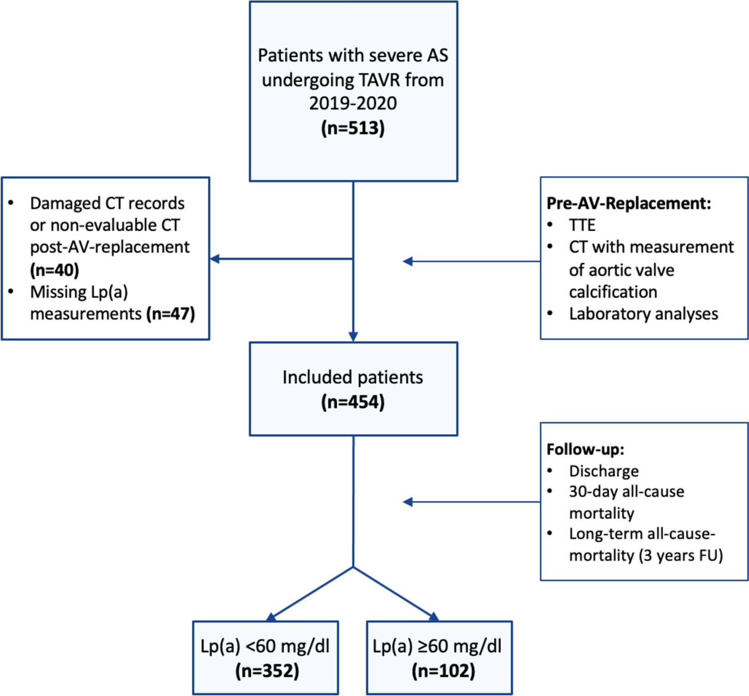 The influence of lipoprotein(a) on aortic valve calcification in patients undergoing transcatheter aortic valve replacement