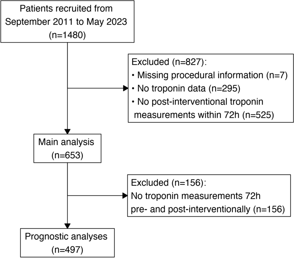 The impact of myocardial injury on outcomes in TAVI patients