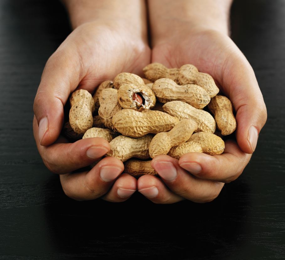 OIT bei Erdnussallergie: Desensibilisierung allein reicht nicht aus