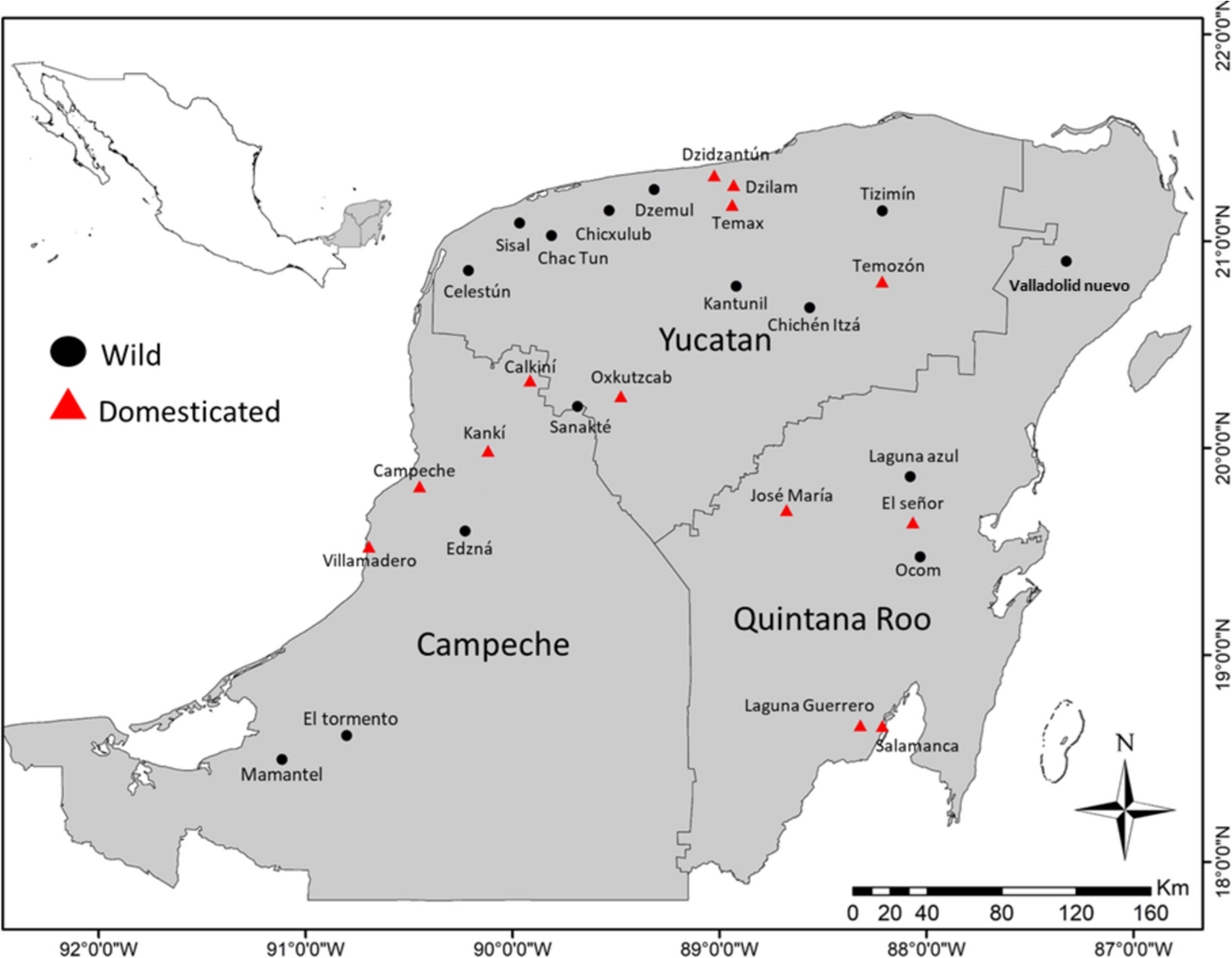 Effects of domesticated-to-wild gene flow on the genetic structure and diversity of wild papaya (Carica papaya L.) in its Mesoamerican diversity area