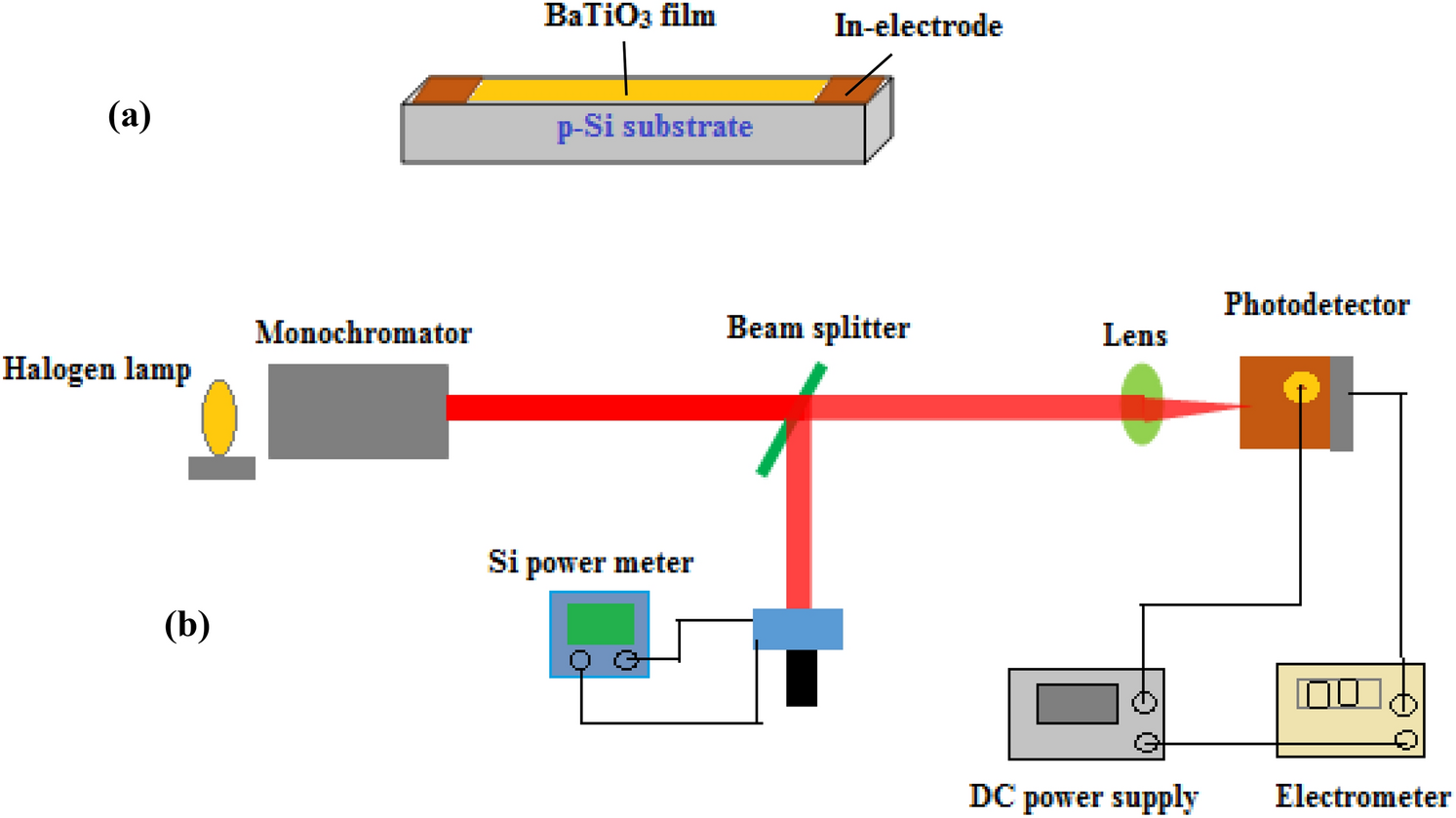 Insights into the photo-sensing properties of nanostructured BaTiO3/Si photodetector