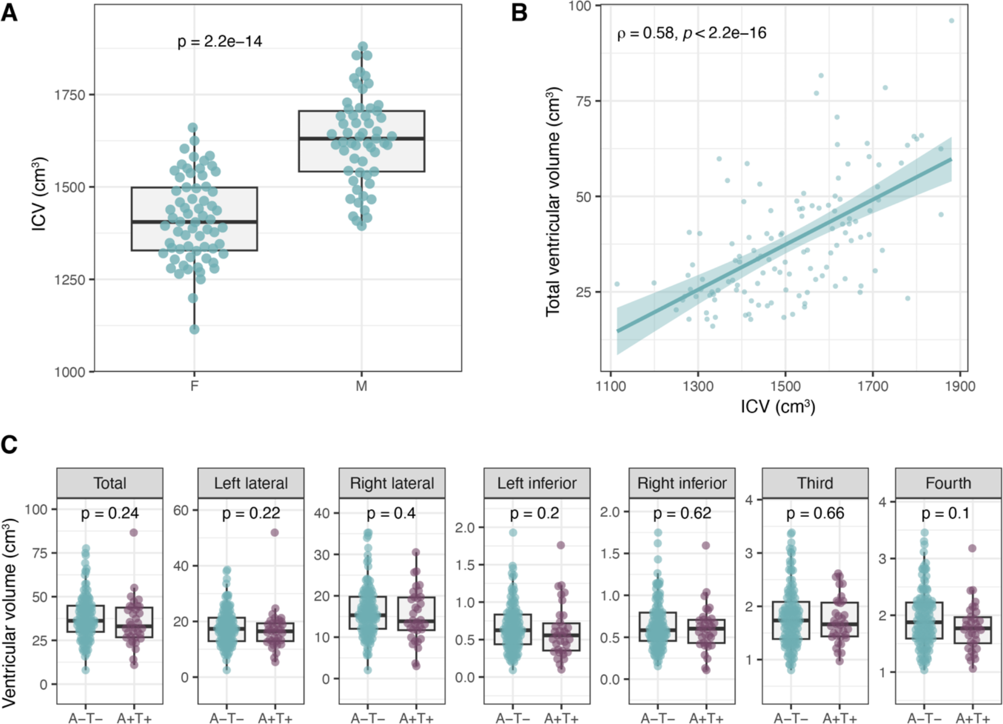 CSF levels of brain-derived proteins correlate with brain ventricular volume in cognitively healthy 70-year-olds