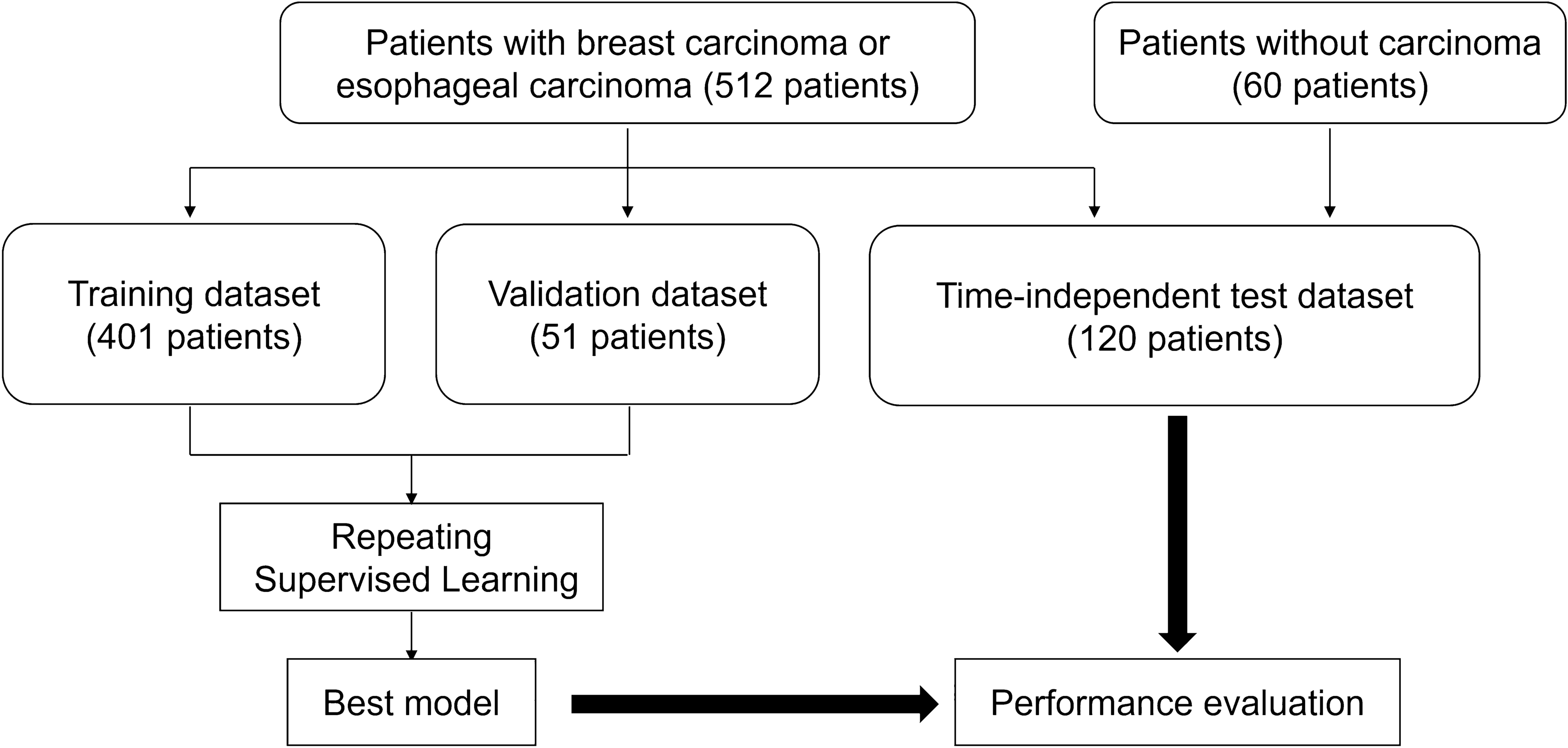 Large multimodality model fine-tuned for detecting breast and esophageal carcinomas on CT: a preliminary study