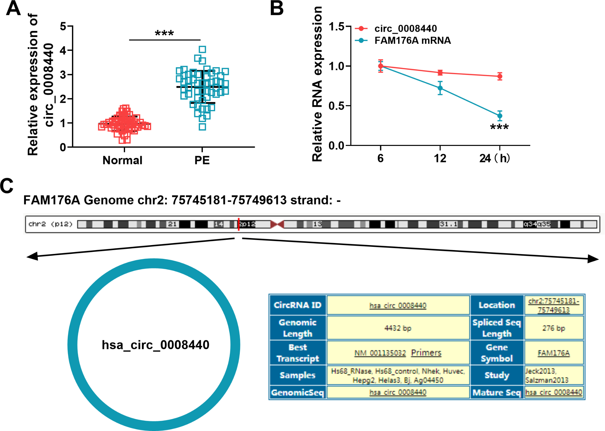 Circ_0008440 Inhibits Proliferation and Promotes Apoptosis of Trophoblast Cells through the miR-194-5p/PFKFB2 Axis