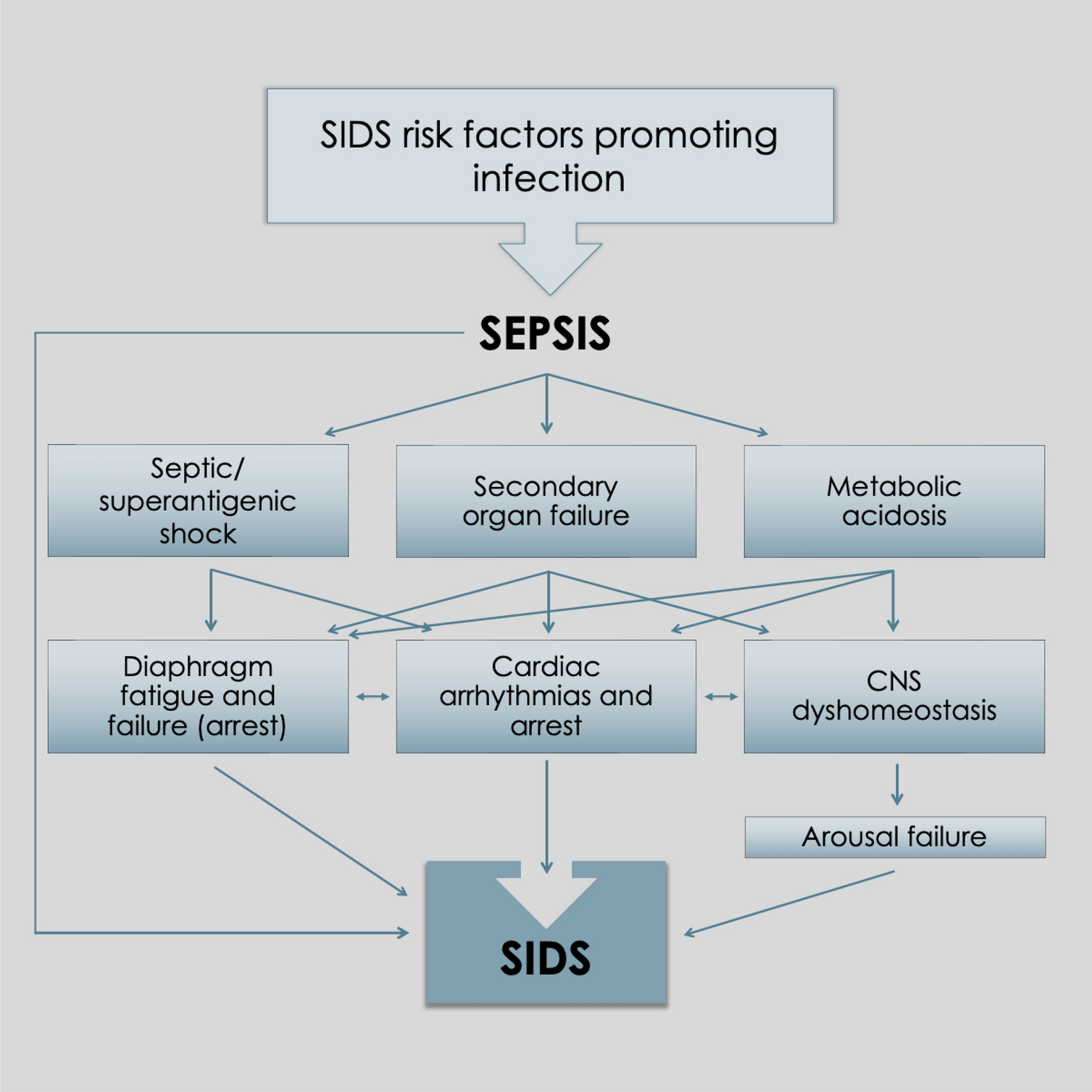 Metabolic acidosis and sudden infant death syndrome: overlooked data provides insight into SIDS pathogenesis