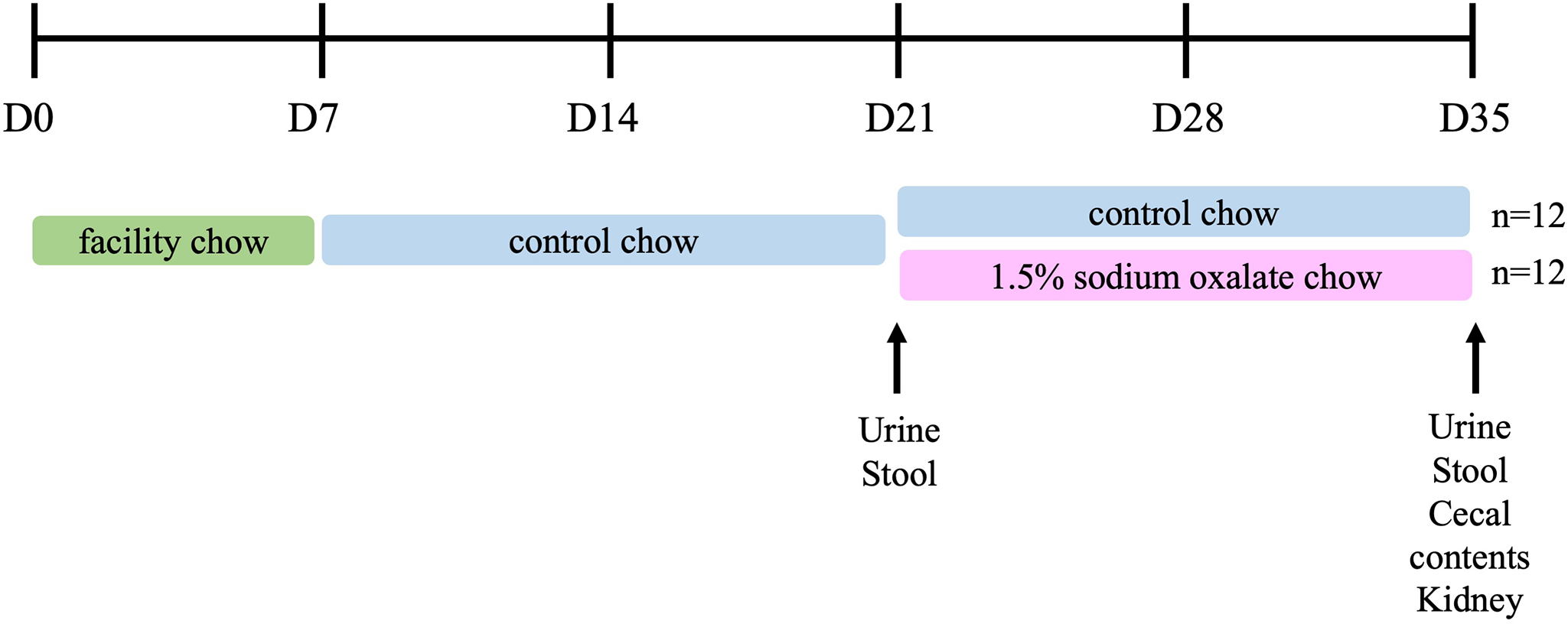 A mouse model for the study of diet-induced changes in intestinal microbiome composition on renal calcium oxalate crystal formation