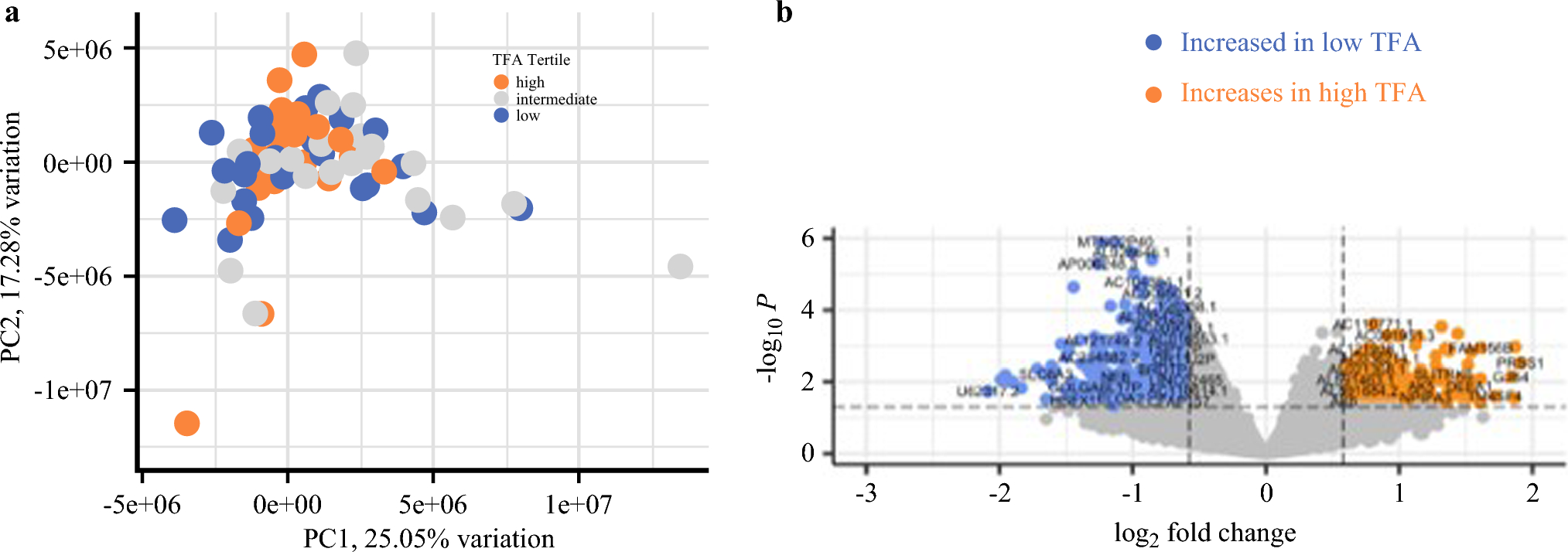 Image-Based Measures of Obesity are Associated with Alterations in Metabolic Pathways in Non-small Cell Lung Cancer