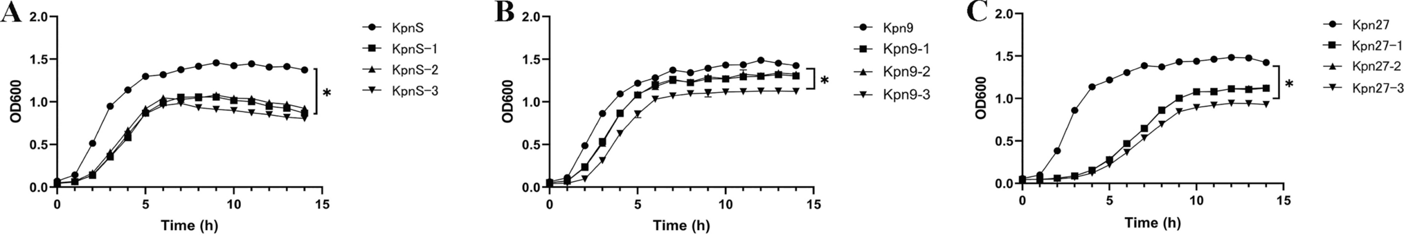 Phenotypic Profiling of Tigecycline-resistant Klebsiella pneumoniae Strains Induced In vitro