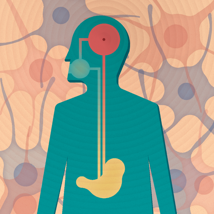 Advances in appetite regulation by the arcuate nucleus