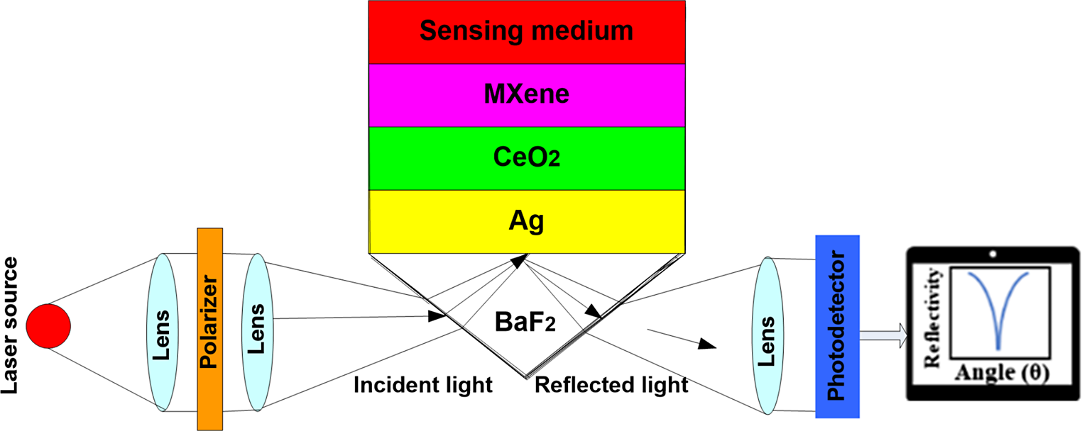 Novel detection of progesterone and estradiol levels in blood using sensitive SPR biosensor employing cerium oxide and MXene nanomaterial