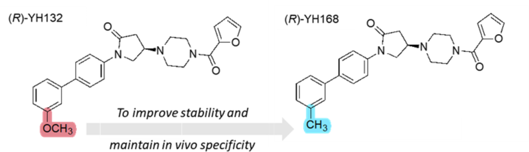 Exploration of (R)-[11C]YH168 as a PET tracer for imaging monoacylglycerol lipase in the brain: from mice to non-human primates