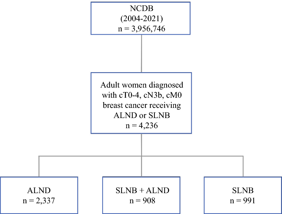 Outcomes and Trends in Axillary Management of Stage cN3b Breast Cancer Patients