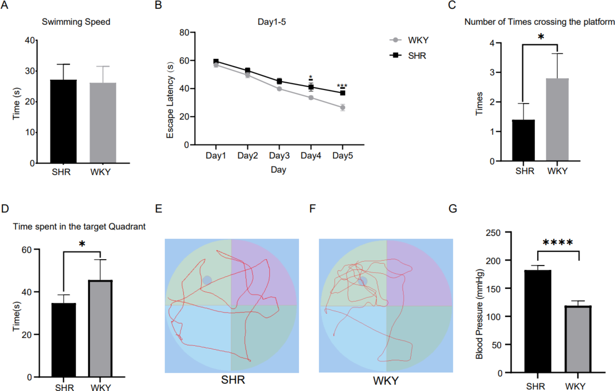 Assessment of blood-brain barrier injury in hypertensive CSVD by 11.7TMR T1mapping and microvascular pathologic changes