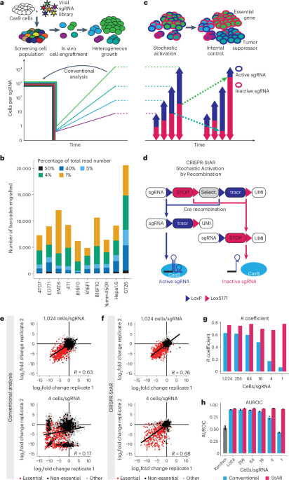 CRISPR-StAR enables high-resolution genetic screening in complex in vivo models