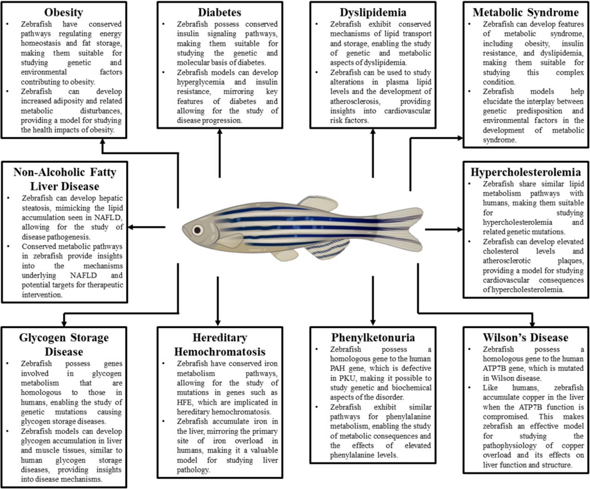 Zebrafish navigating the metabolic maze: insights into human disease – assets, challenges and future implications