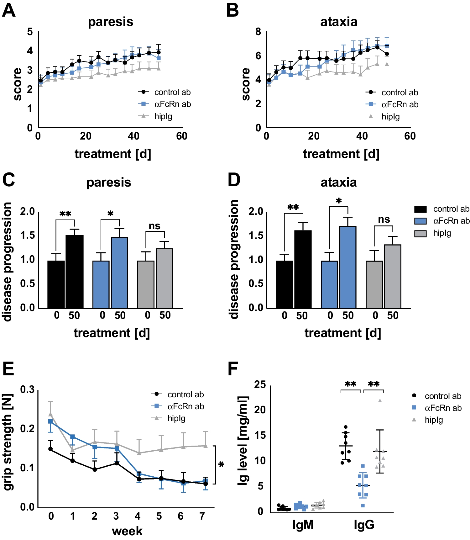 Targeting the neonatal Fc receptor (FcRn) is not beneficial in an animal model of chronic neuritis