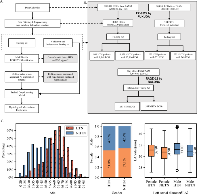 Correction: Deep learning assists early-detection of hypertension-mediated heart change on ECG signals