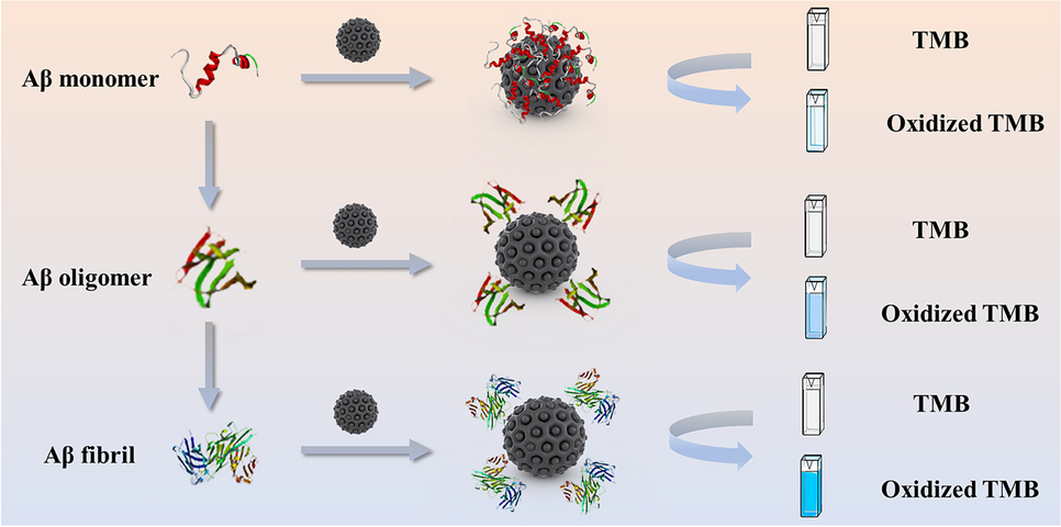 Covalent organic framework derived single-atom copper nanozymes for the detection of amyloid-β peptide and study of amyloidogenesis