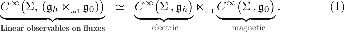 Quantum Observables of Quantized Fluxes