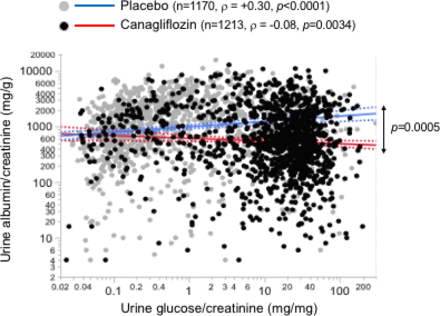 Association between glycosuria and albuminuria in patients with type 2 diabetes from the CREDENCE trial: a mechanistic link?