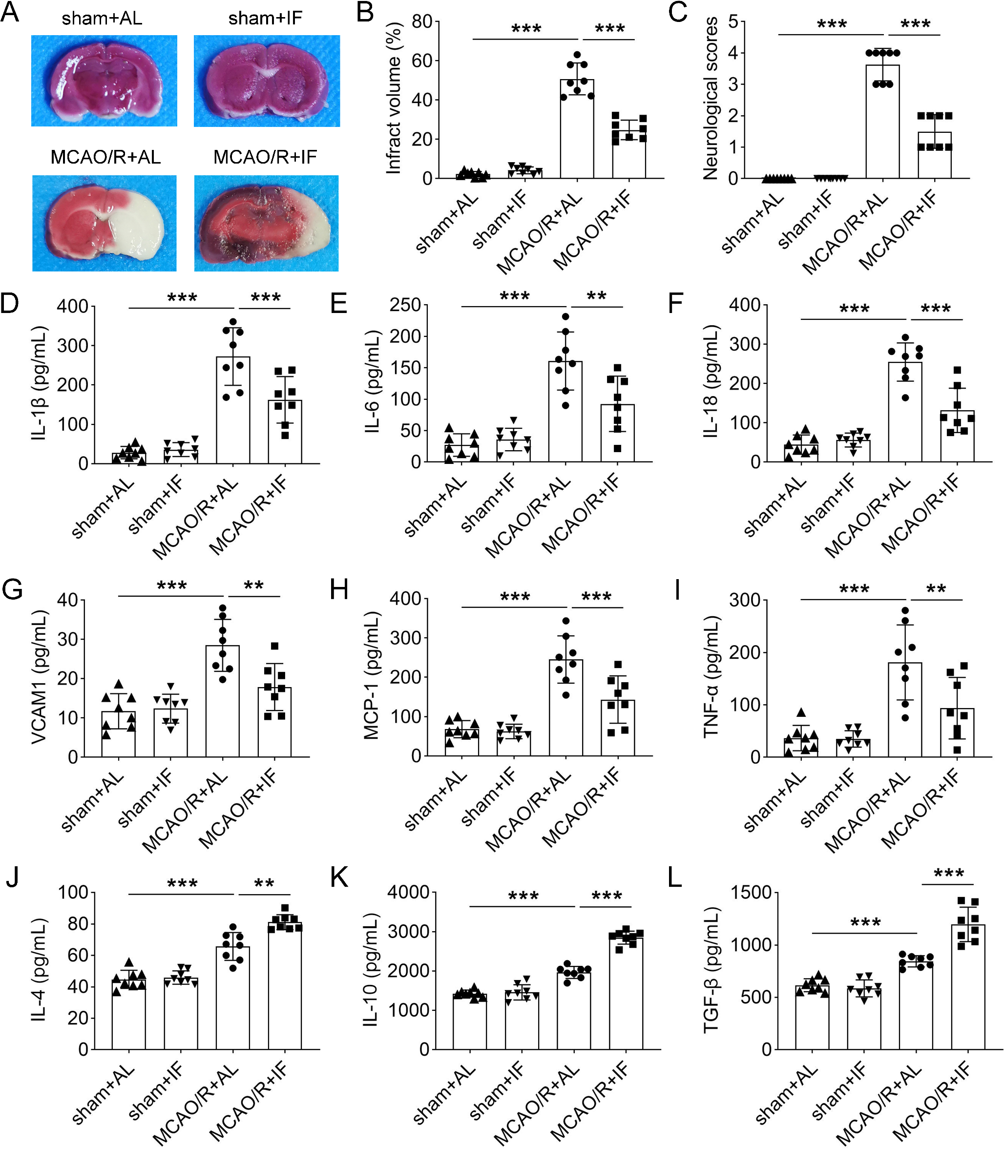 Energy restriction inhibits β-catenin ubiquitination to improve ischemic stroke injury via USP18/SKP2 axis