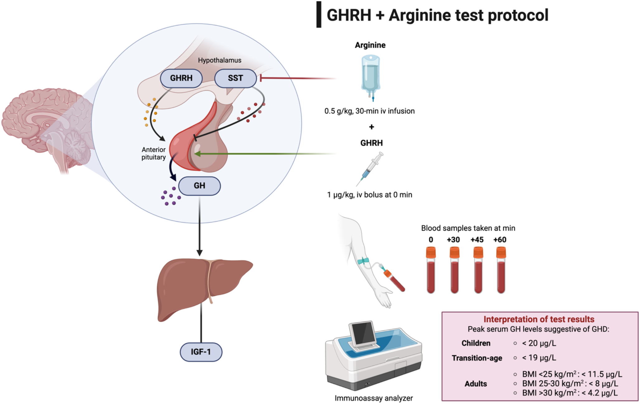 The history of an effective, specific and sensitive diagnostic test: the GHRH test in clinical practice