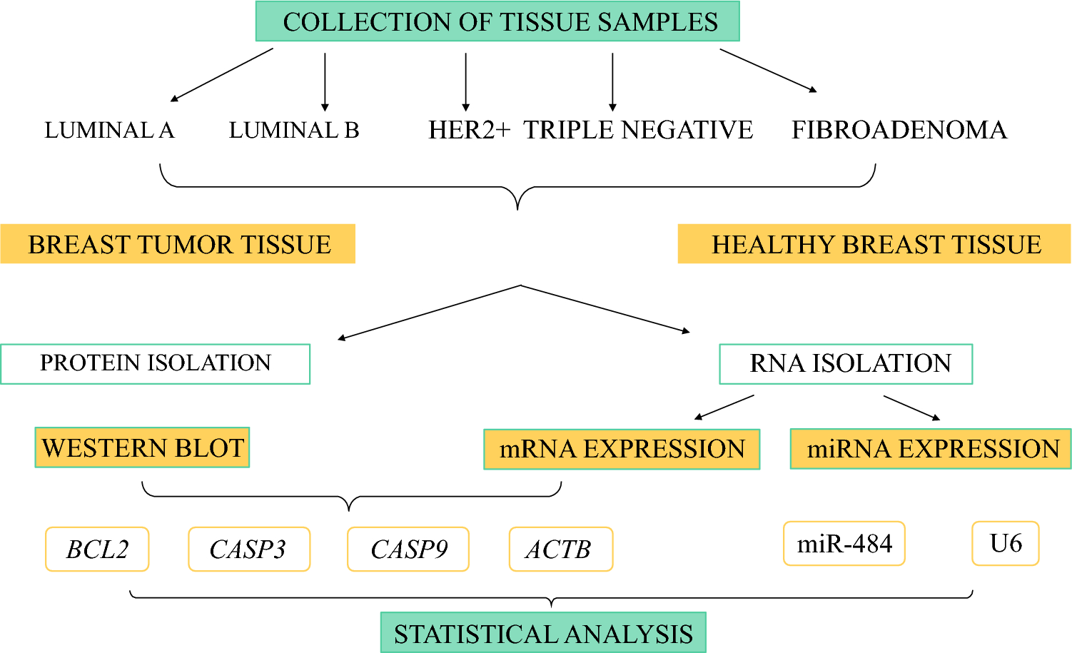 miR-484 as an “OncomiR” in Breast Cancer Promotes Tumorigenesis by Suppressing Apoptosis Genes