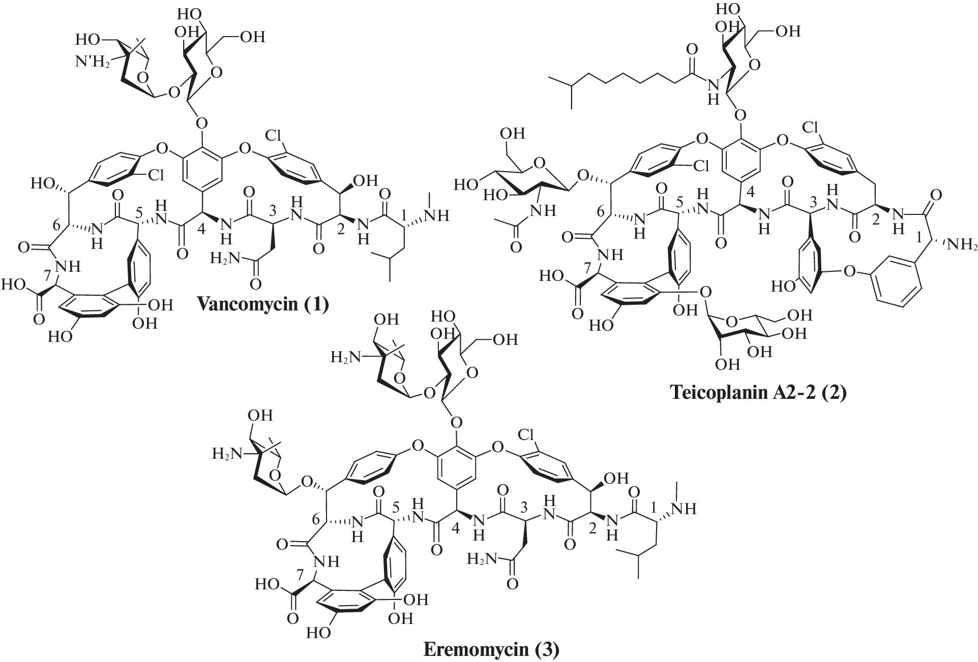 History of the Creation of a New Generation of Antibiotics of the Group of Polycyclic Glycopeptides