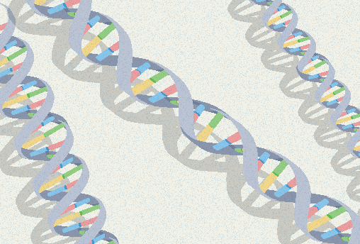 Identification of genetic factors of type 2 diabetes mellitus risk in South Asian populations