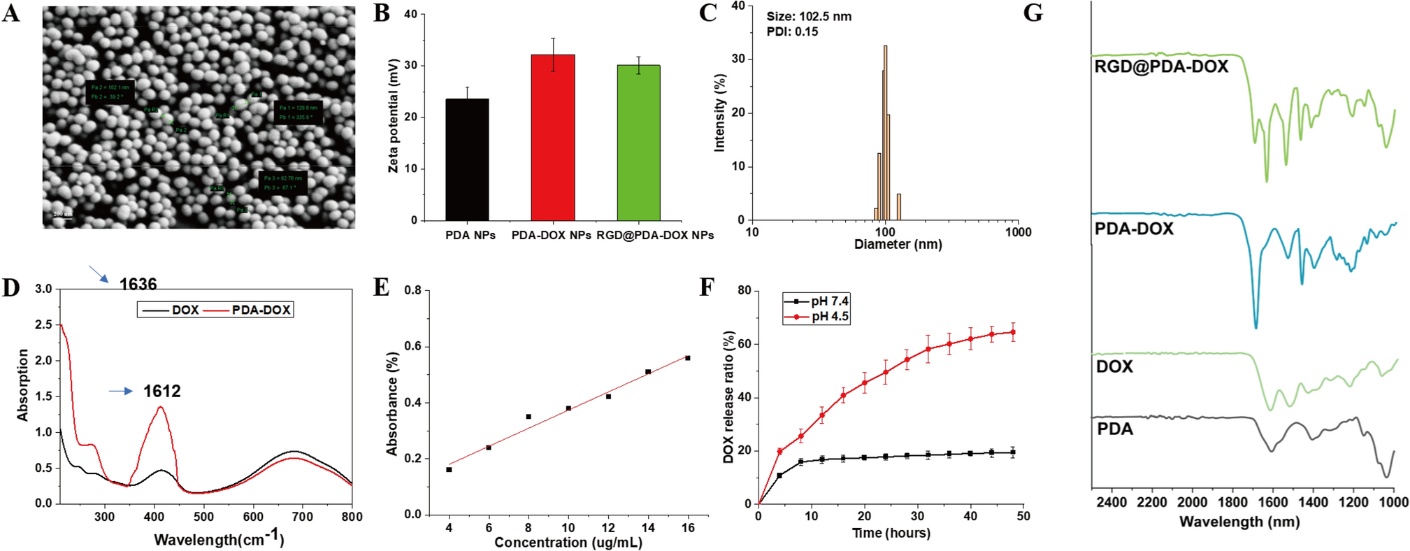 RGD peptide-conjugated polydopamine nanoparticles loaded with doxorubicin for combined chemotherapy and photothermal therapy in thyroid cancer