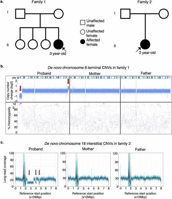 Long-read genome sequencing resolves complex genomic rearrangements in rare genetic syndromes