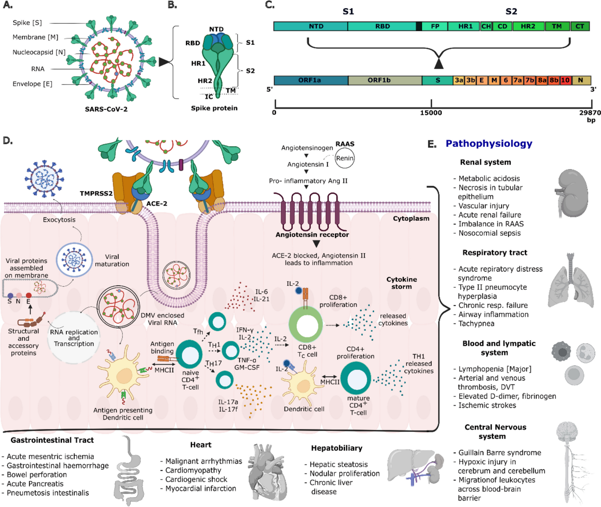 SARS-CoV-2 pathophysiology and post-vaccination severity: a systematic review