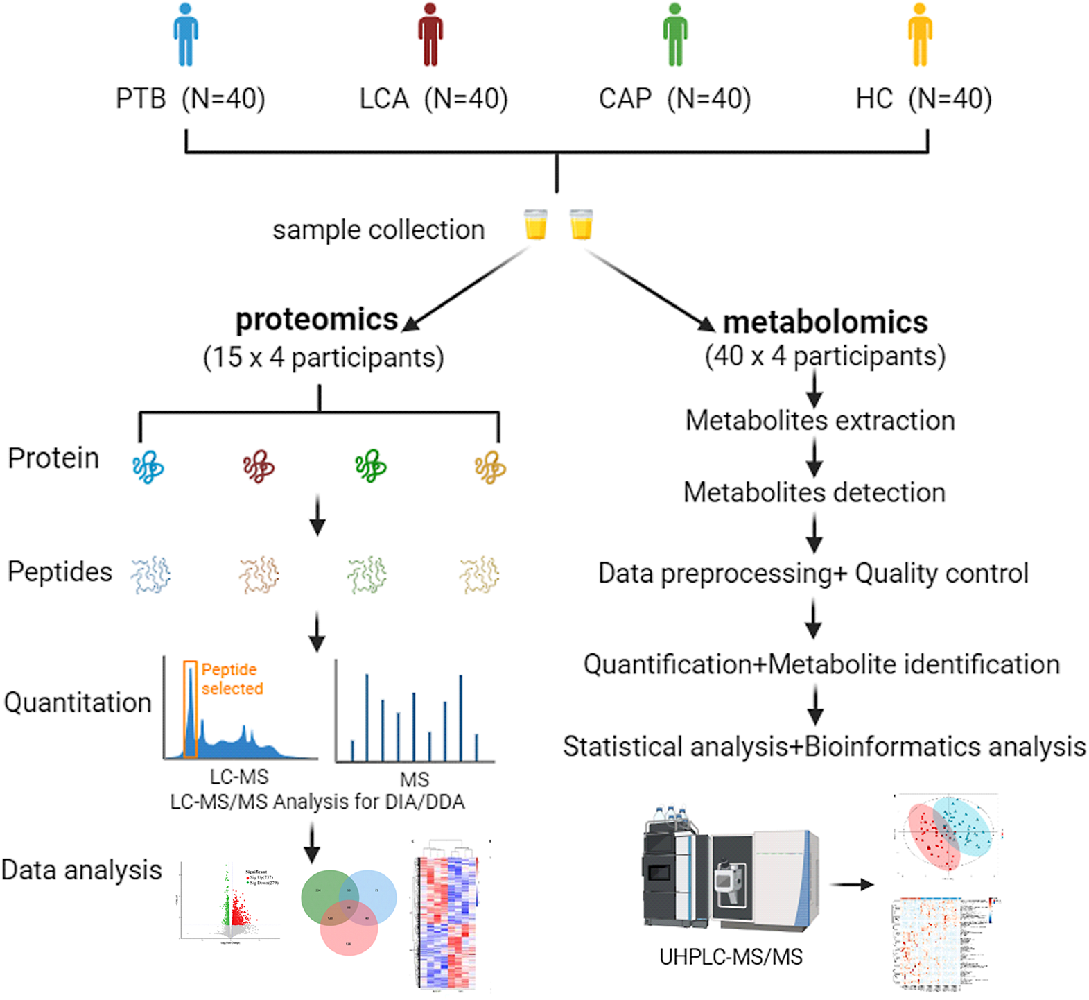 Combined urine proteomics and metabolomics analysis for the diagnosis of pulmonary tuberculosis