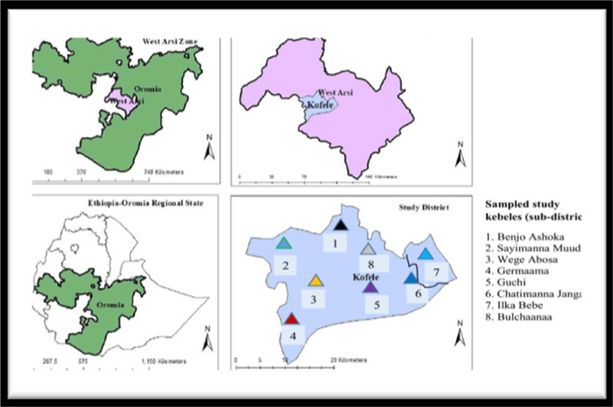 Consumption of wild edible plants in the Kofale and Heban-Arsi districts, West Arsi Zone, Oromia Regional State, Ethiopia