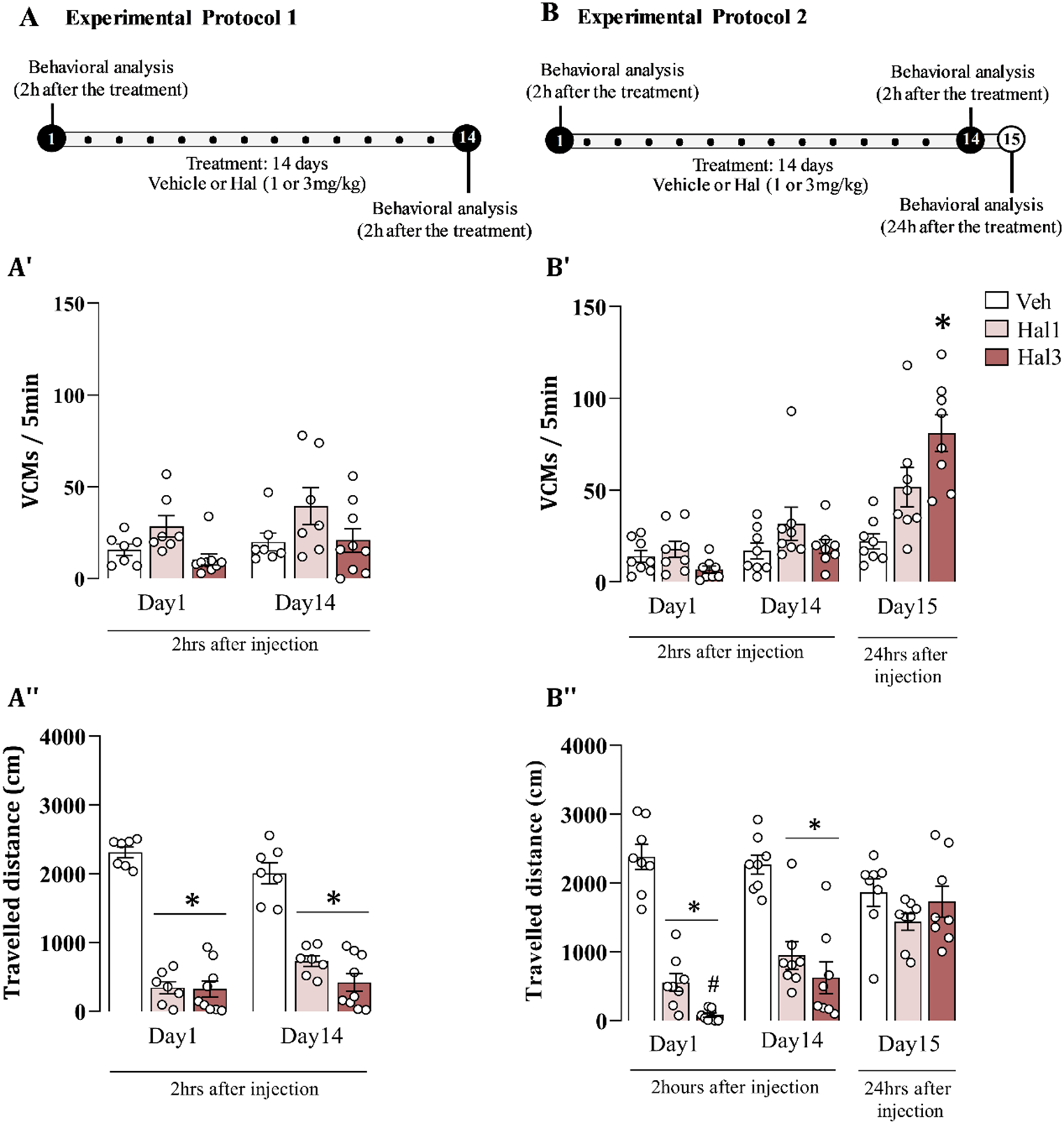 Cannabigerol Mitigates Haloperidol-Induced Vacuous Chewing Movements in Mice