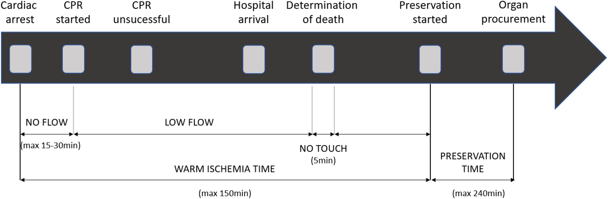 Solid organ transplantation originating from uncontrolled donation after circulatory death in Europe: a narrative review