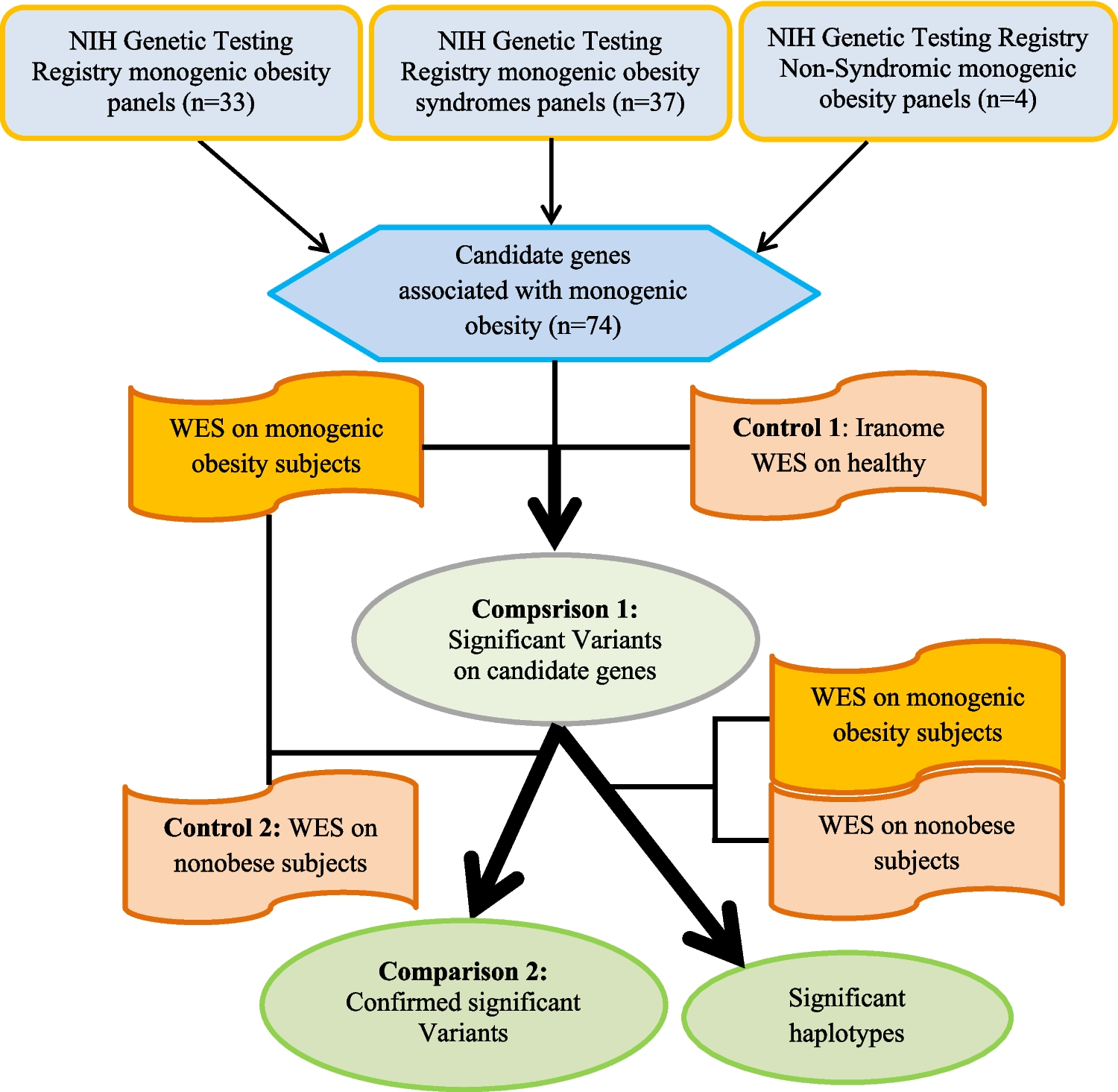 Whole exome sequencing revealed new variants and haplotypes associated with monogenic obesity