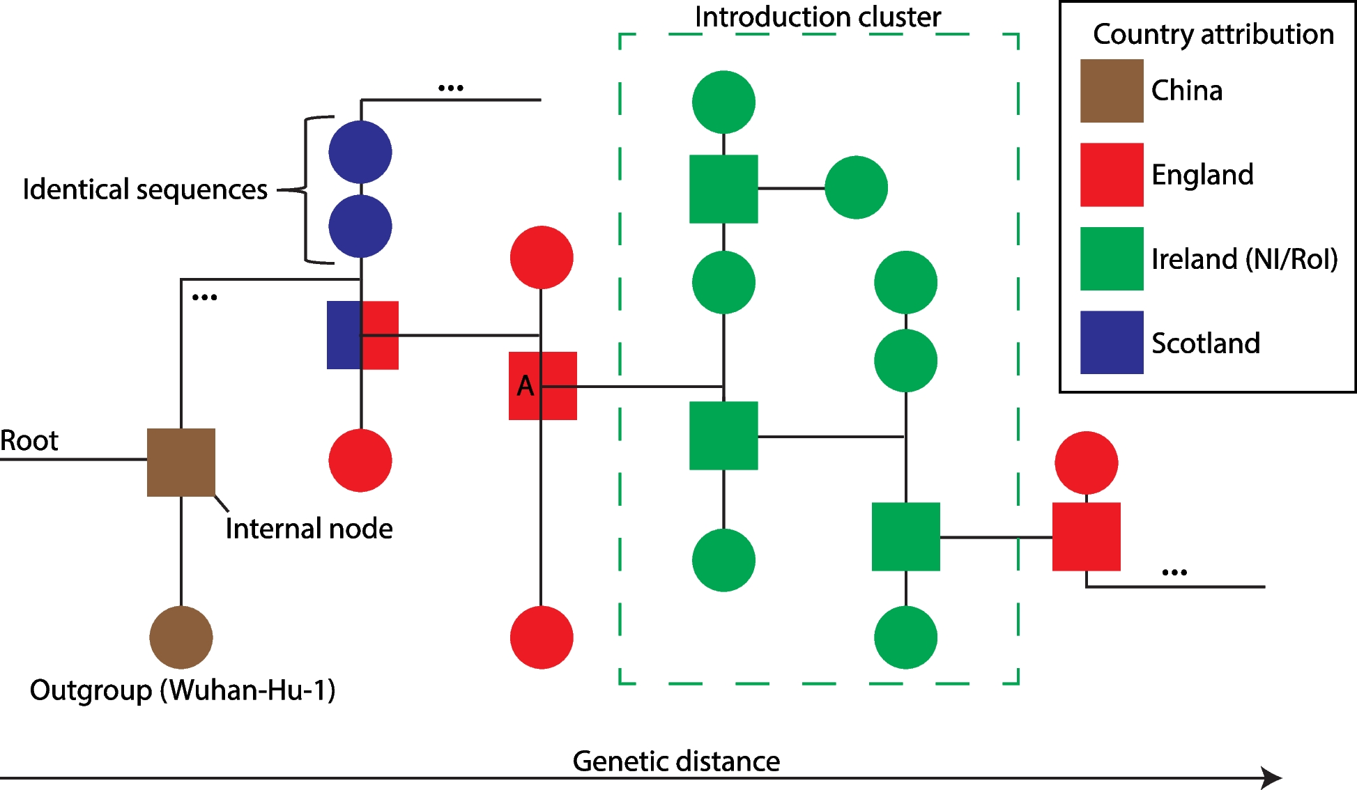 SARS-CoV-2 introductions to the island of Ireland: a phylogenetic and geospatiotemporal study of infection dynamics