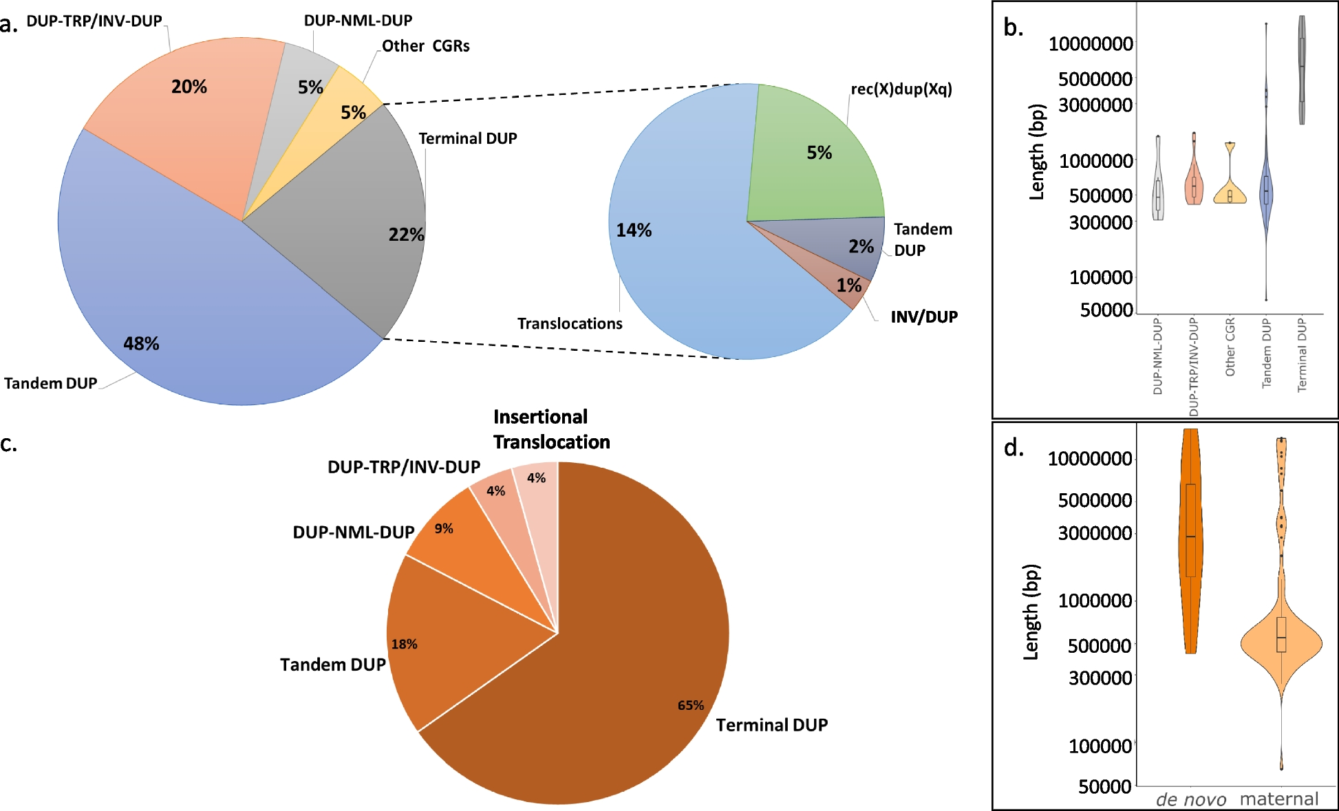 Structural variant allelic heterogeneity in MECP2 duplication syndrome provides insight into clinical severity and variability of disease expression